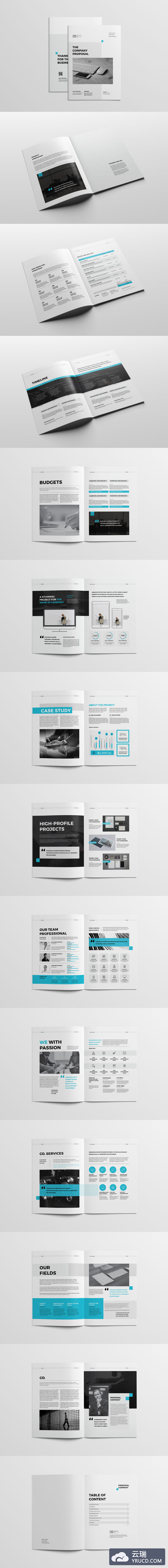 完美的计划书(画册、杂志)模版下载[indd]