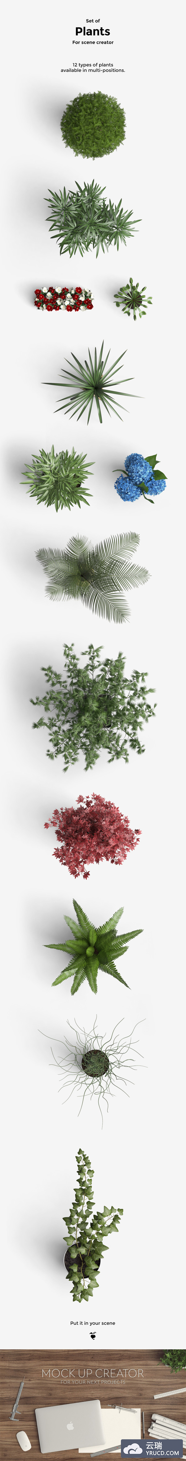 高清植物盆栽素材分享（psd）