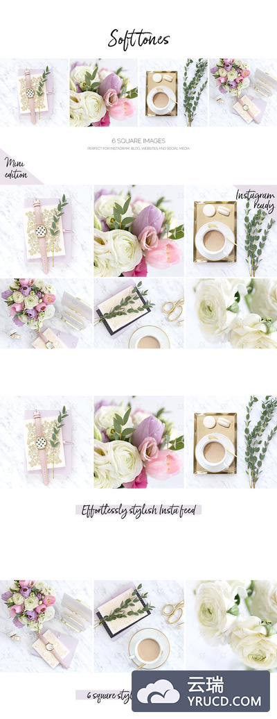 几幅温馨漂亮的女性花桌面素材包下载[高清图]