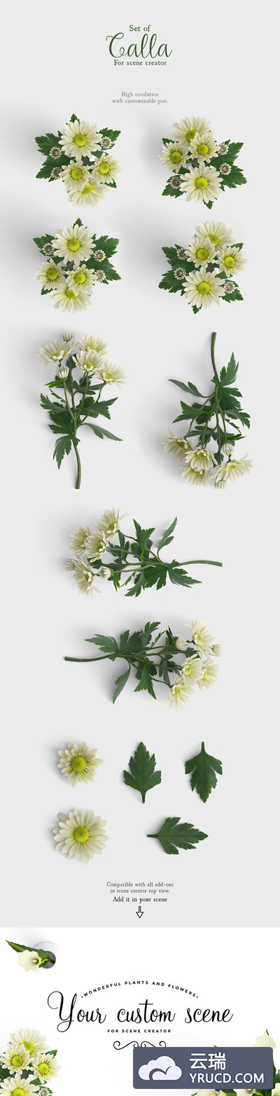 清新典雅文艺范的多角度植物分享（psd）