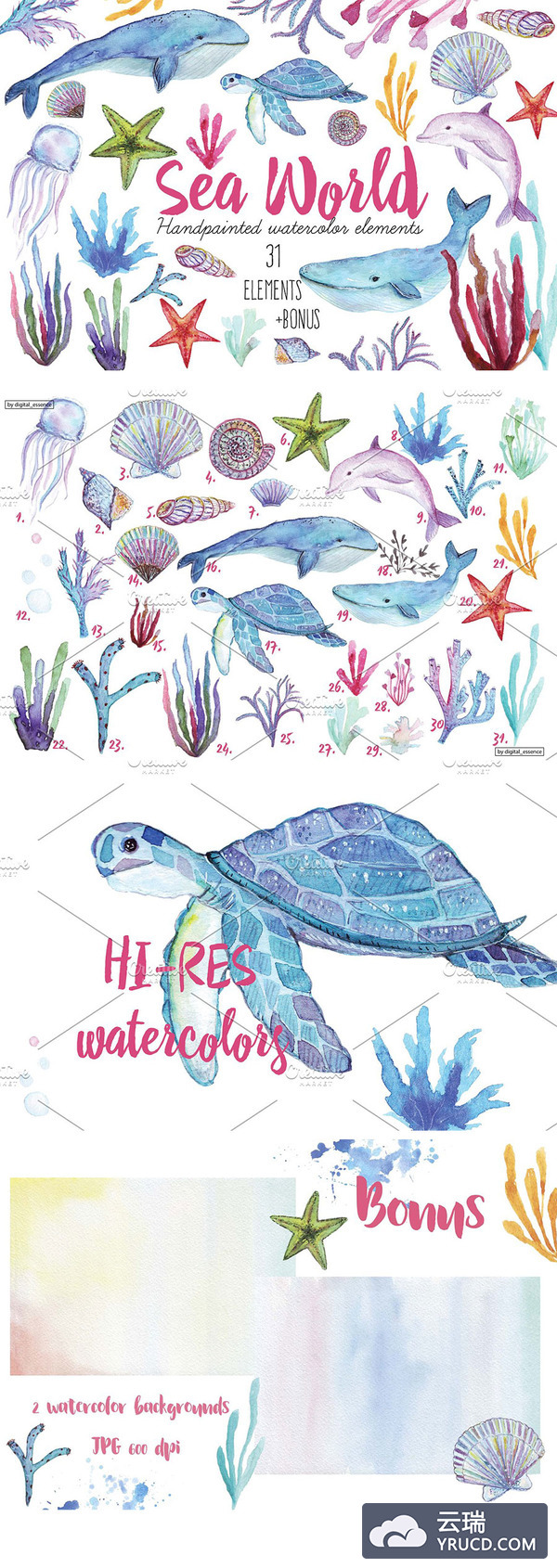 美丽的海洋生物水彩质感元素下载[高清图,PNG]