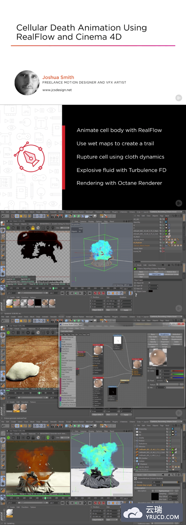 C4D RealFlow细胞死亡动画