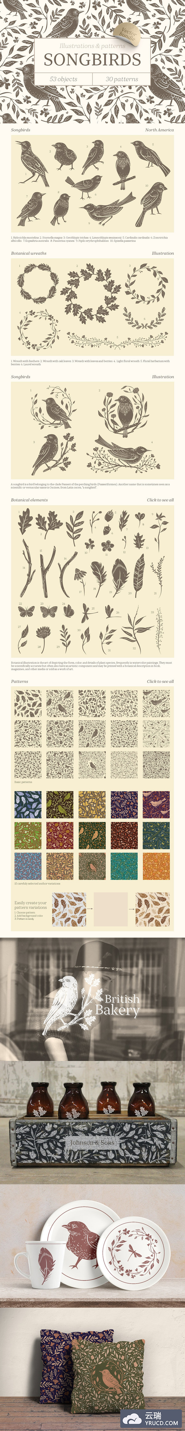 181个优雅的歌鸟图形矢量集合下载