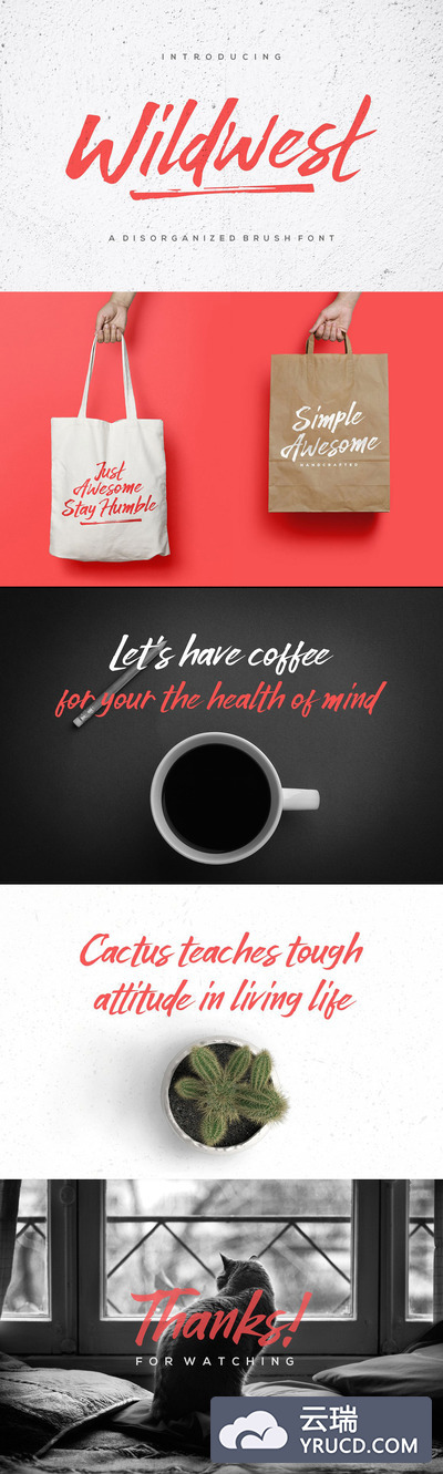 免费风格狂野手绘的英文设计字体下载[Otf,ttf]