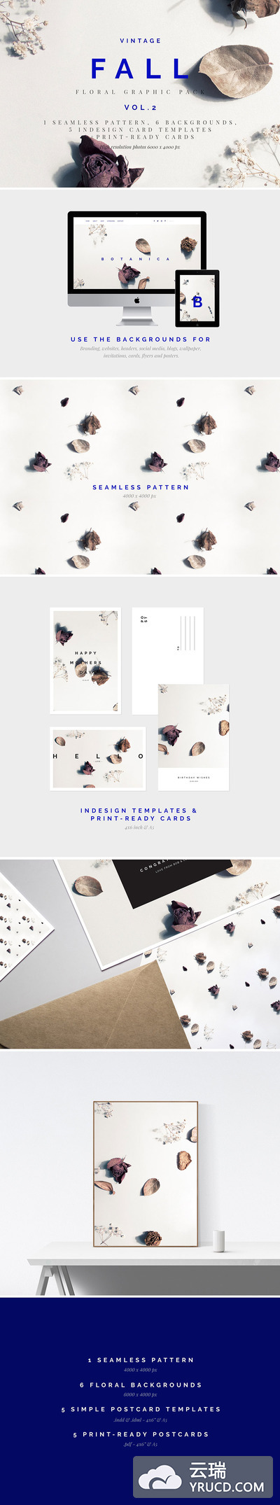 高端优雅的秋天落叶树叶花卉风格的图像元素集合