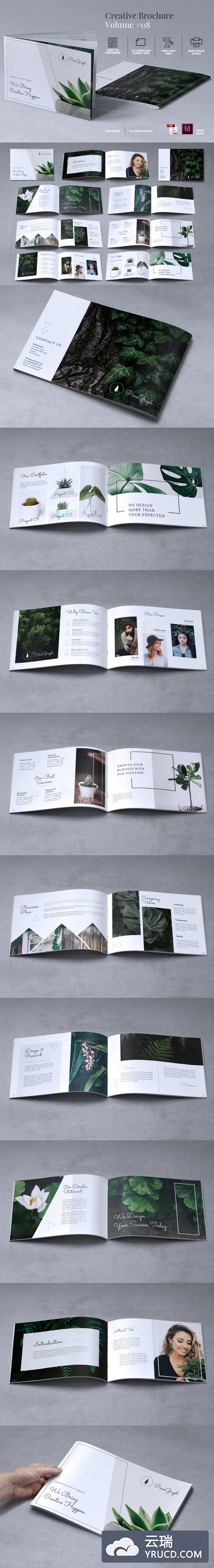 植物摄影类画册模版下载[indd]