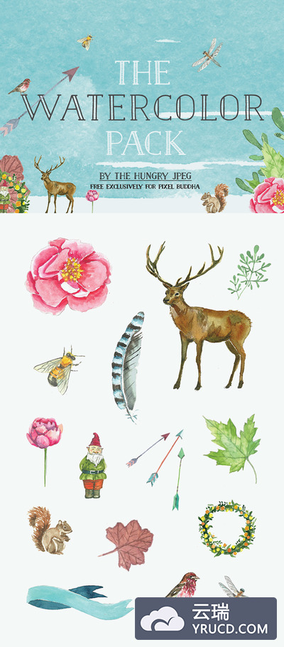 手绘水彩 | 高品质植物动物元素