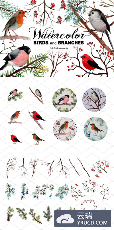 手绘水彩风格的鸟类和树枝集合