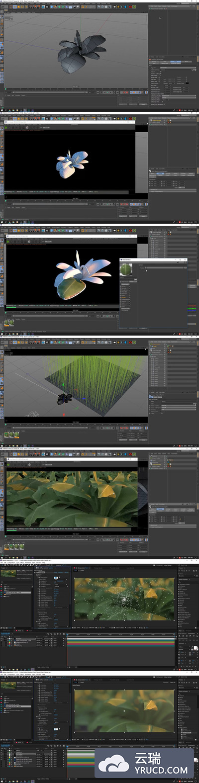 C4D Octane 渲染创建植物 AE后期加工 教程