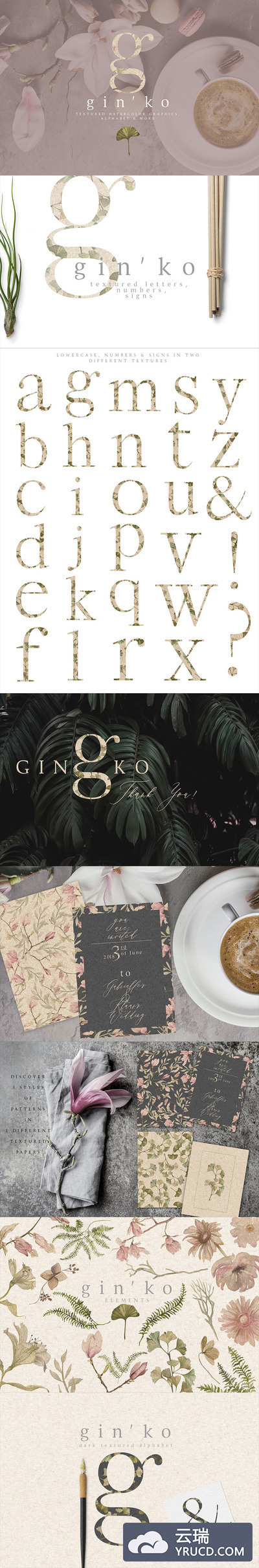 免费-高雅的字体与花纹纹理素材包[PNG]