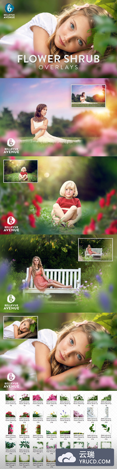 摄影作品花灌木覆盖效果