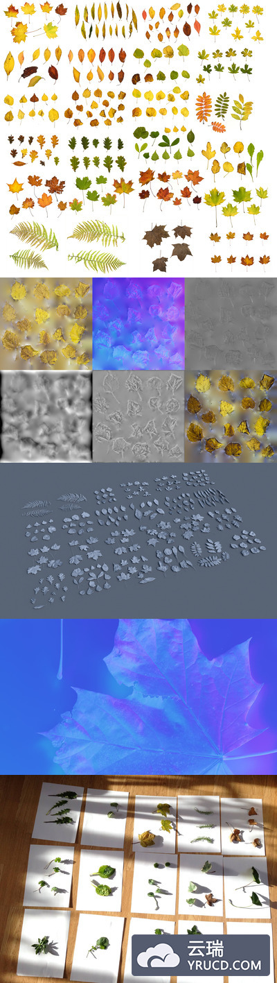 自然照片扫描纹理3D资产