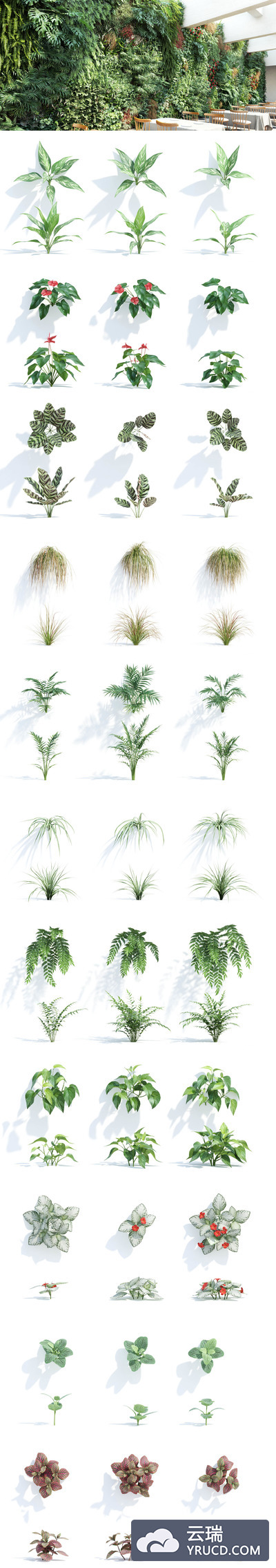 Maxtree 3D 模型 PART I