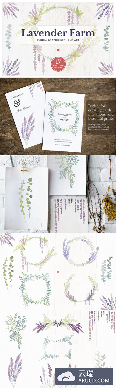 高品质的清新手绘水彩风格的薰衣草农作物植物素材集合