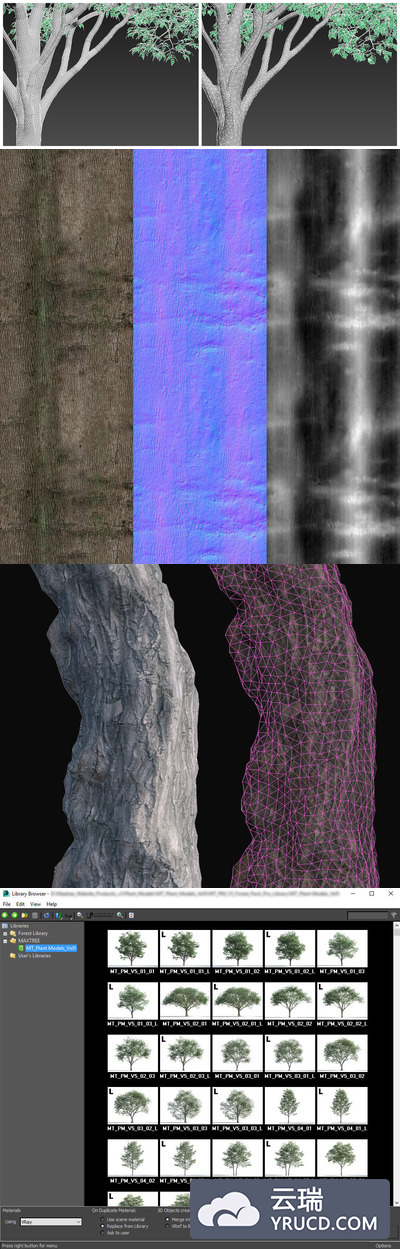 Maxtree 3D模型 PART II