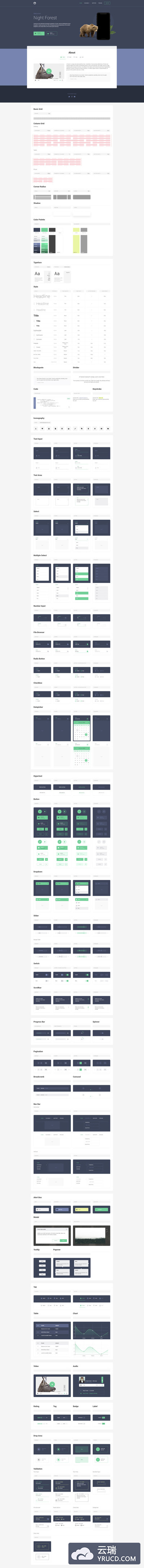 典型的高端专业UI规范文档模板下载[XD,Sketch]