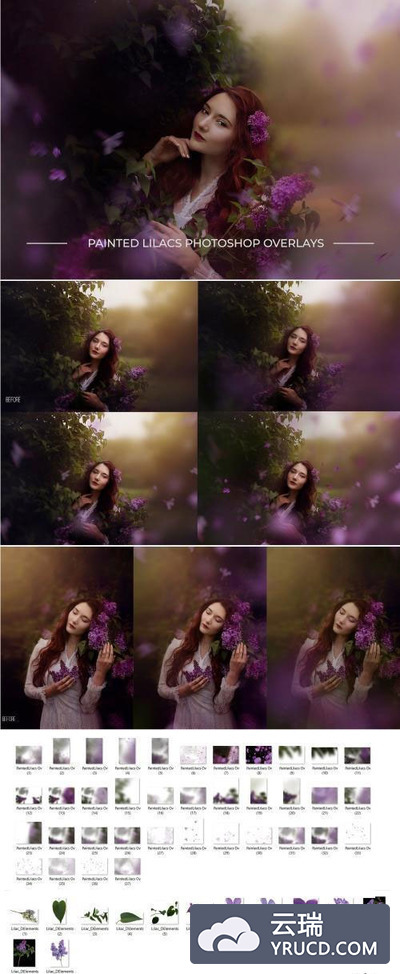50个高品质丁香花PS叠加背景素材下载[png]