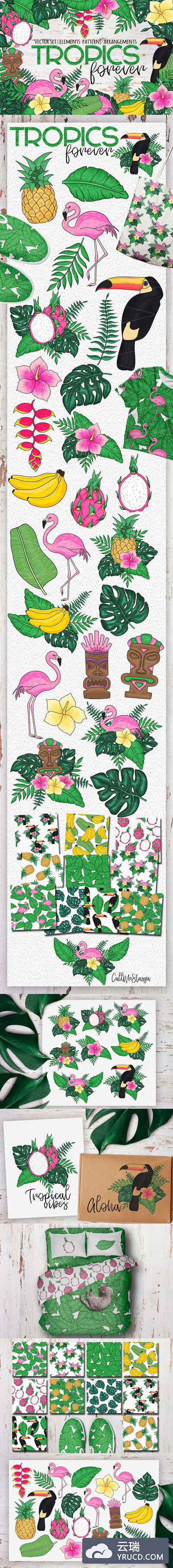 热带雨林手绘动植物素材打包下载[eps,png]