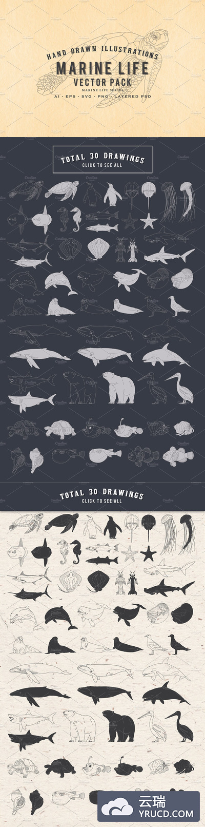 30款手绘海洋生物矢量素材合辑下载[ai,psd,eps,png,svg]