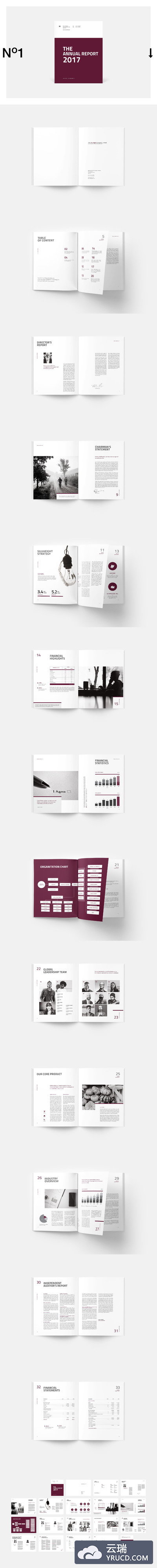 清洁，现代，专业的多用途业务报告模版