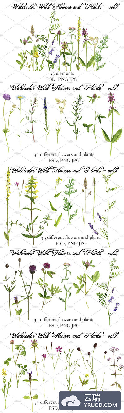 33种不同的水彩花卉级野生植物写实剪贴画