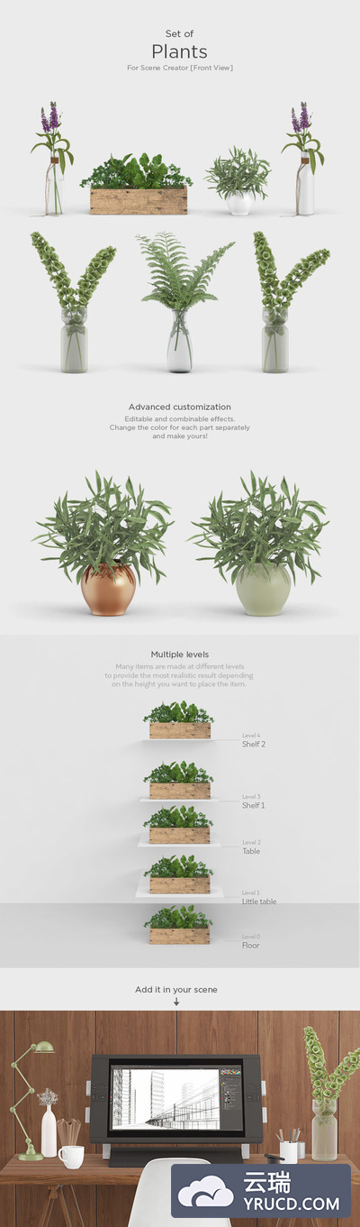 素材 | 多角度多视野方位逼真绿植植物