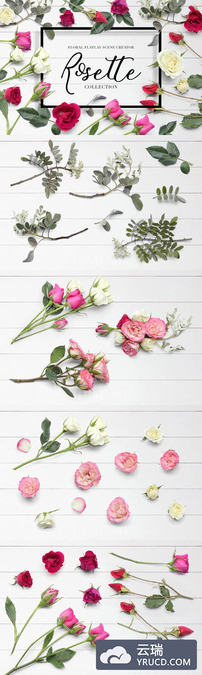 玫瑰花卉平面广告设计模板