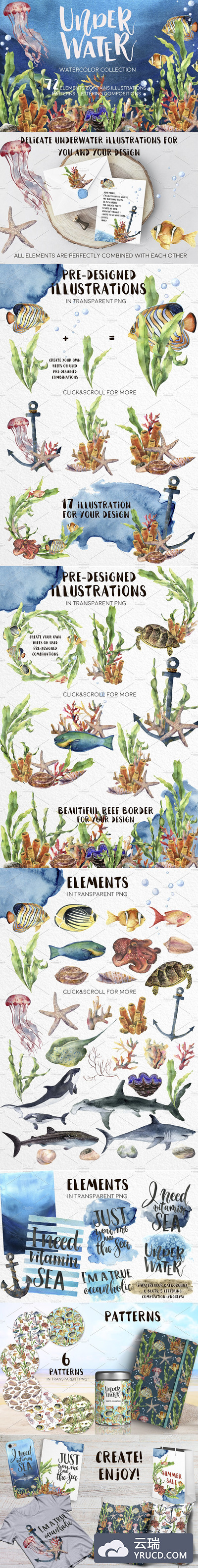 高品质的手绘水彩油画风格水下海洋生物鱼类大集合