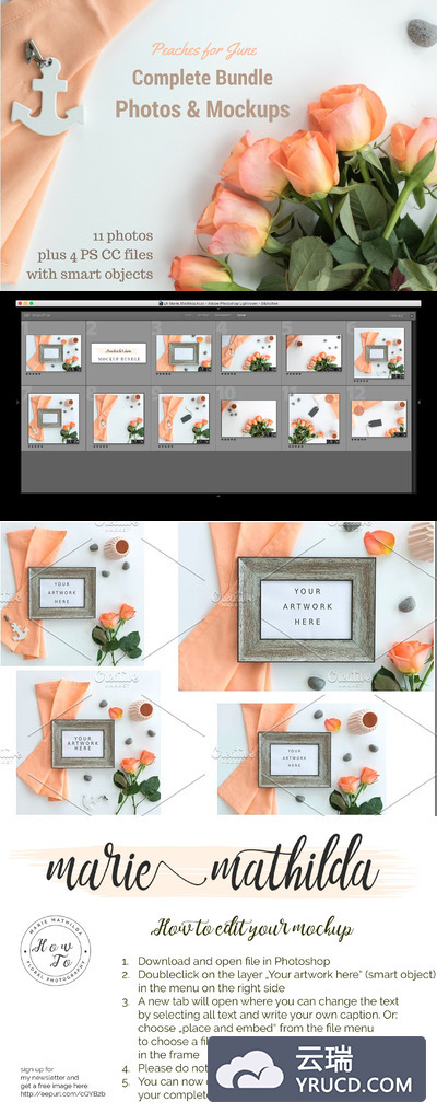 美丽的红玫瑰背景图片相框