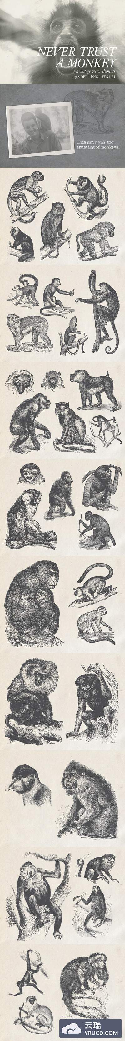一大波手绘猴子的矢量素材下载[ai,eps,png]