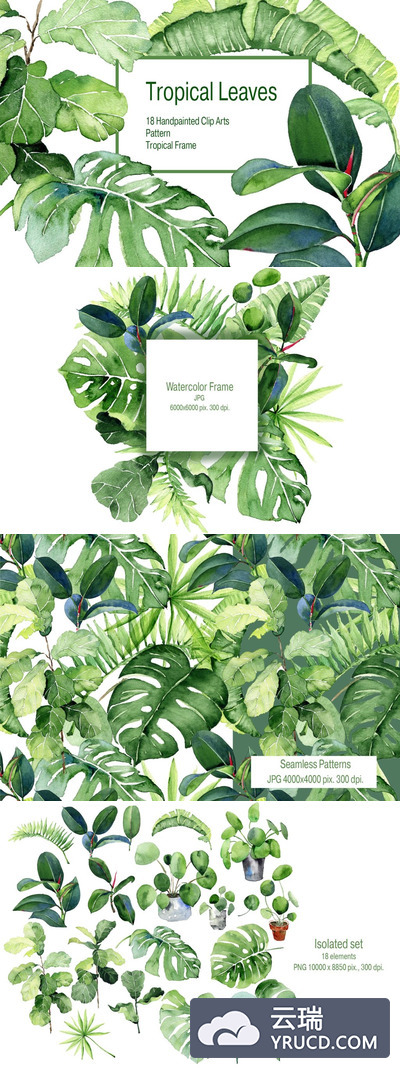 水彩热带手绘植物素材打包下载[png,jpg]