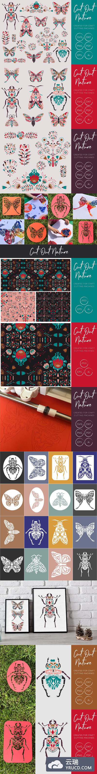 美丽的蝴蝶和甲虫等昆虫SVG矢量图形下载