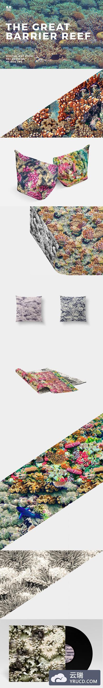 澳大利亚大堡礁珊瑚礁个性时尚纹理背景底纹大集合