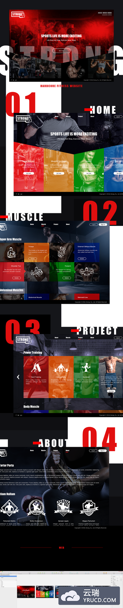 云瑞原创-硬派健身网站