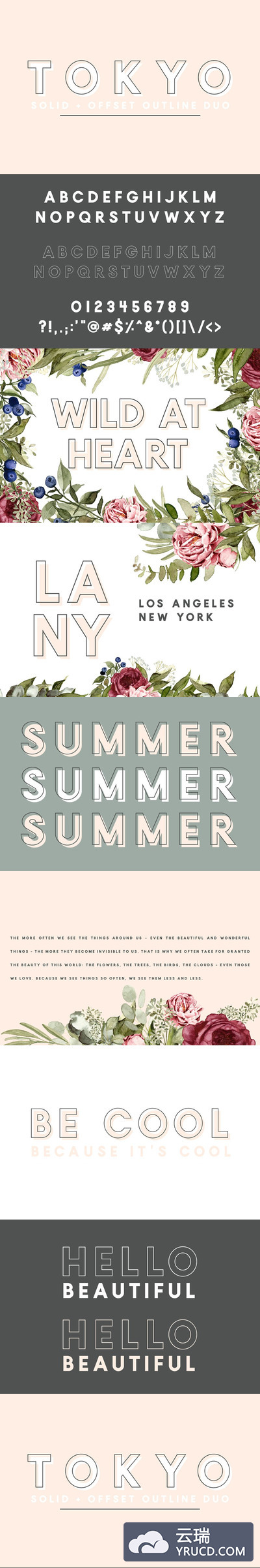东京热？NO, 只是一款无衬线英文字体 Tokyo | A Designer Font Duo