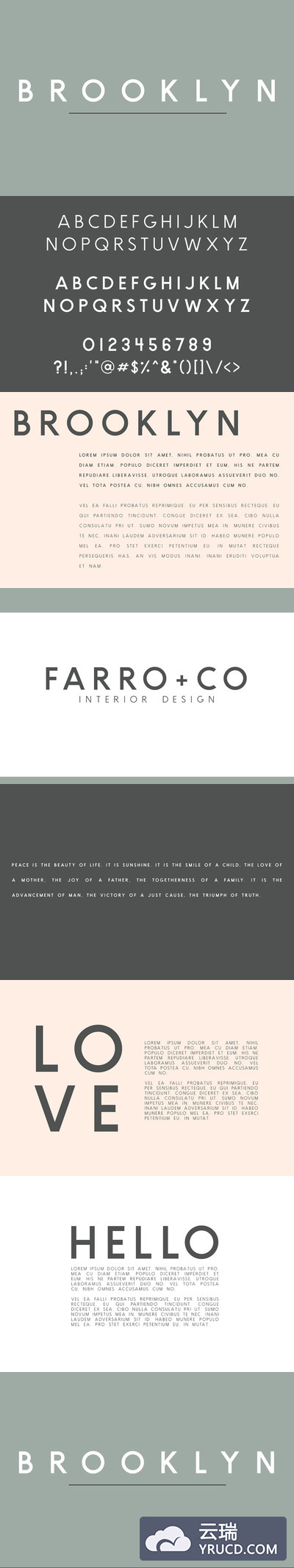 正体适合书面印刷排版的无衬线英文字体 Brooklyn | Two Weight Font Family