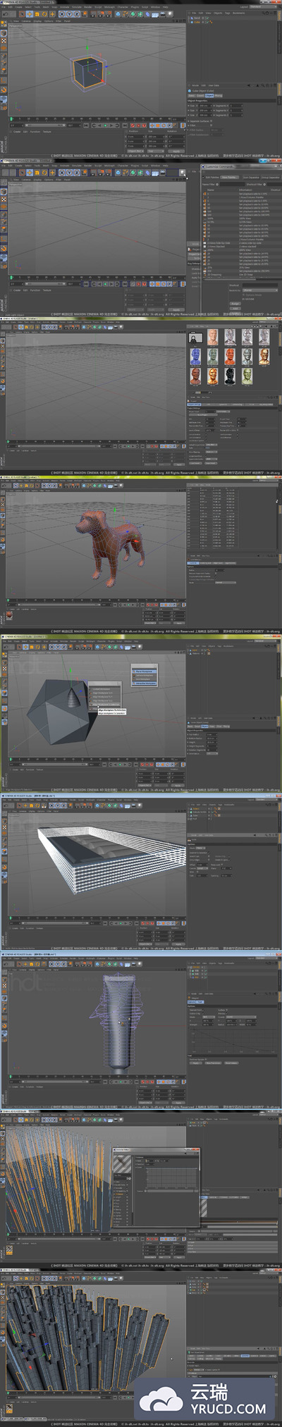 MAXON CINEMA 4D 入门基础篇 中文版