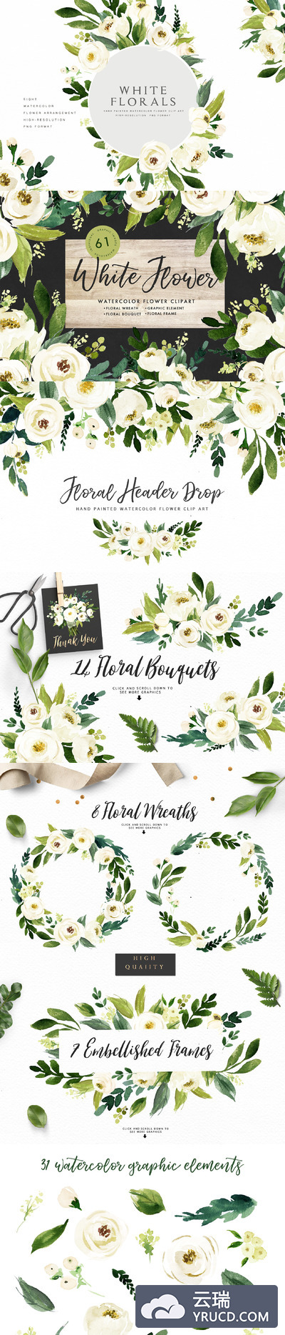 水彩花卉素材 Watercolor White Flower Clip Art