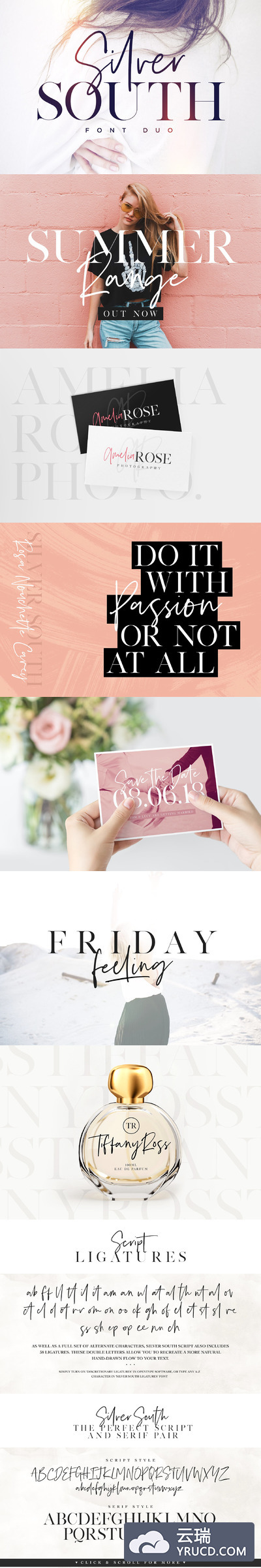 衬线字体&脚本字体 Silver South Font Duo