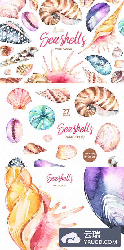 奇形怪状的贝壳水彩画素材集合 Seashells. Watercolor collection