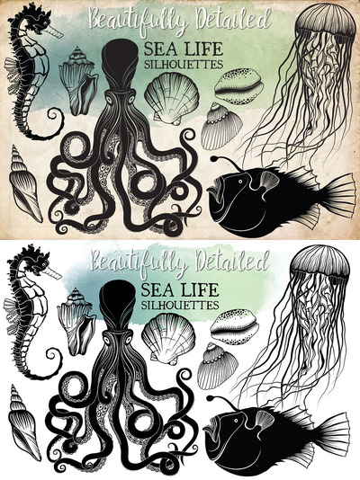 写实的手绘海洋生活剪切画素材 Hand Drawn Ocean Life Clipart