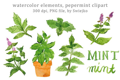 草药水彩画素材包 Watercolor Herbs, Peppermint