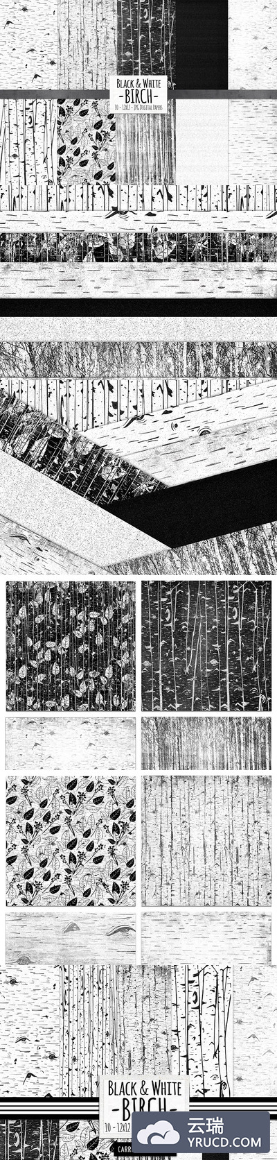 黑白桦木纹理背景素材 Birch Black & White Wood Background