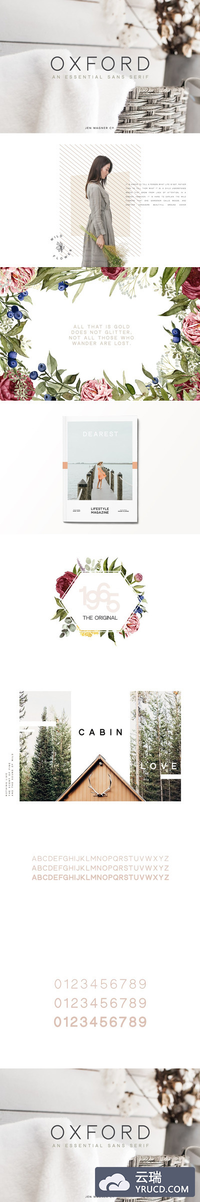 牛津无衬线英文字体 Oxford | NEW UDPATE!