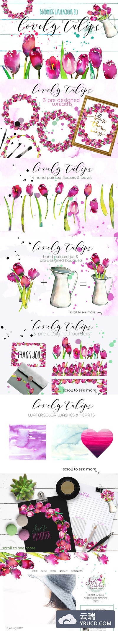 粉红色郁金香水彩花集 Pink Tulips Watercolor Floral Set