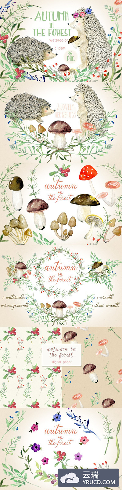 秋天的刺猬图形素材 Autumn in the forest. Hedgehogs