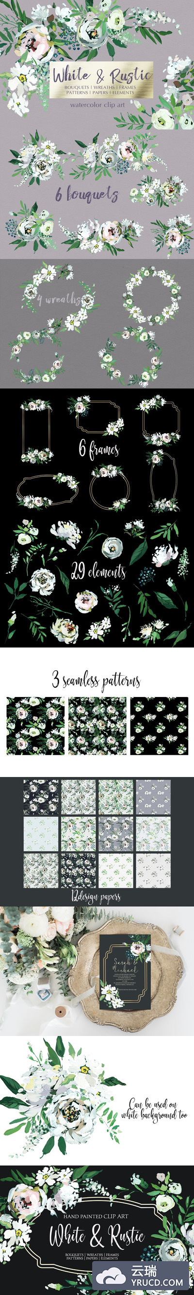 白色手绘花卉素材 White Hand Painted Floral Clip Art