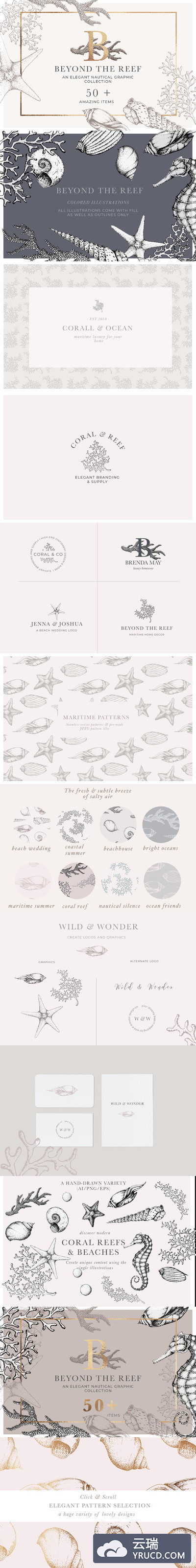 手绘海洋生物素材 Nautical Set - Marine Illustrations