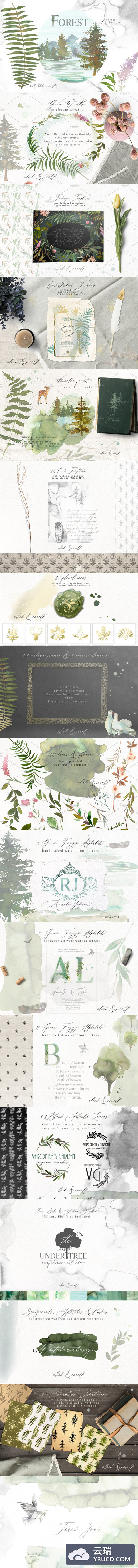 清新的森林绿叶素材包 Forest - Green Watercolor Bundle