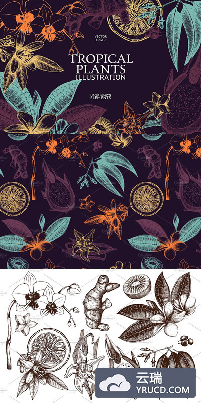 反转的多彩花卉面料素材 Vector Tropical Plants & Flowers